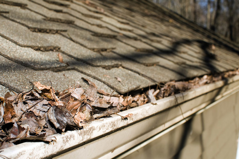 Does Your Roof Need to Be Replaced